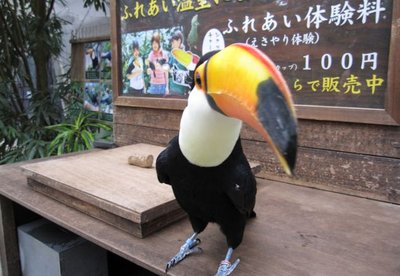 🐦 마쓰에 포겔 파크